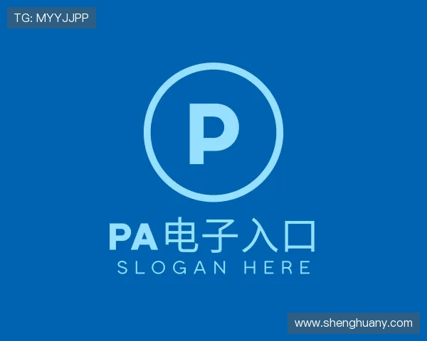 介绍PA电子集团
